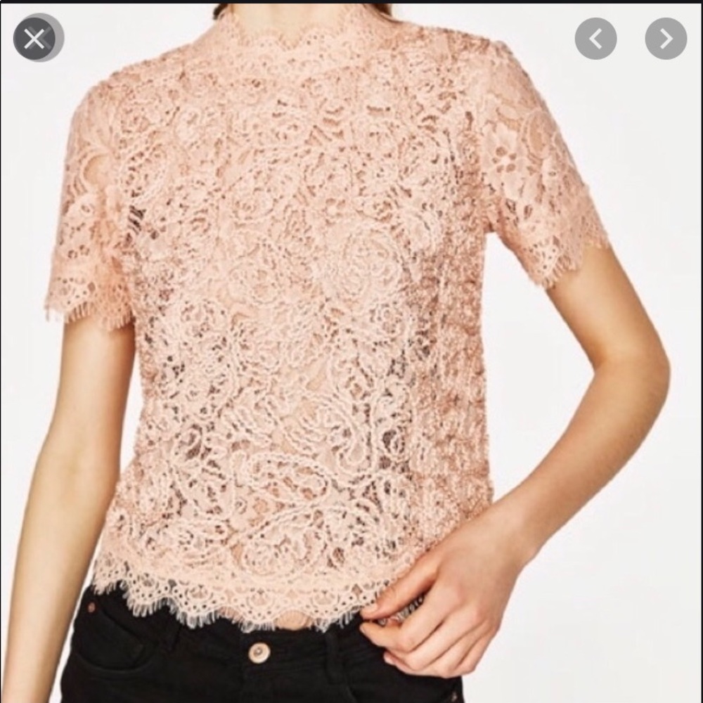 Zara Nude Lace Top